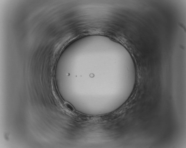 X0000101950097200808081514