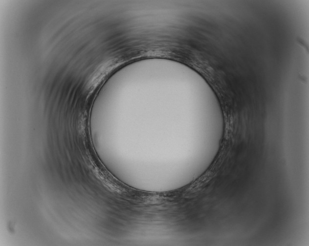 X0000101950098200808081514