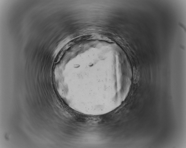 X0000101950099200808081514
