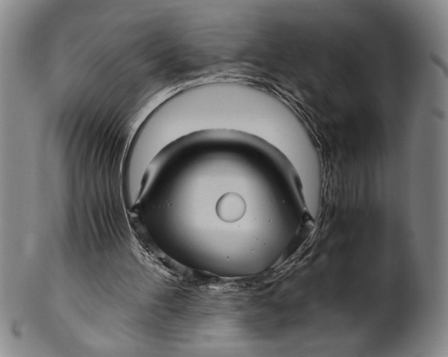 X0000101950100200808081514