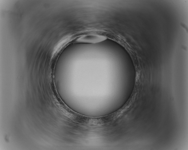 X0000101950101200808081514