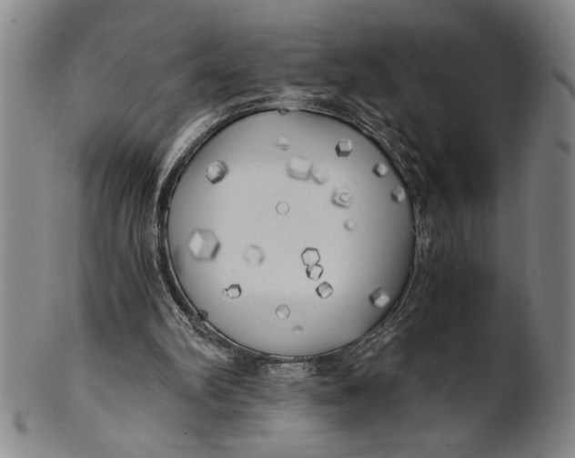 X0000101950102200808081514