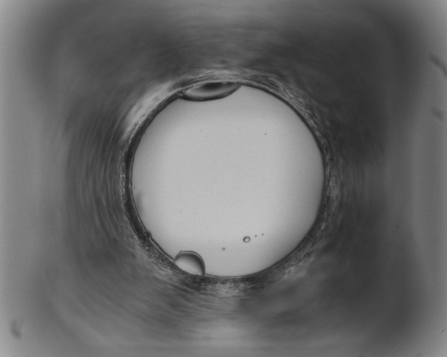 X0000101950103200808081514
