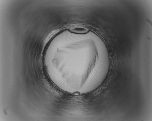 X0000101950104200808081514
