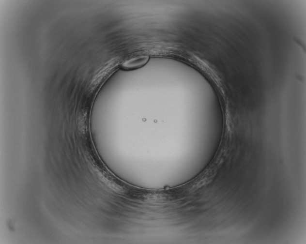 X0000101950105200808081514