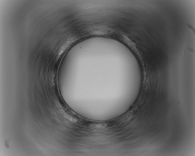 X0000101950106200808081514