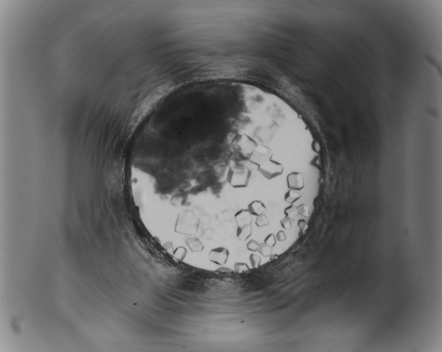 X0000101950107200808081514