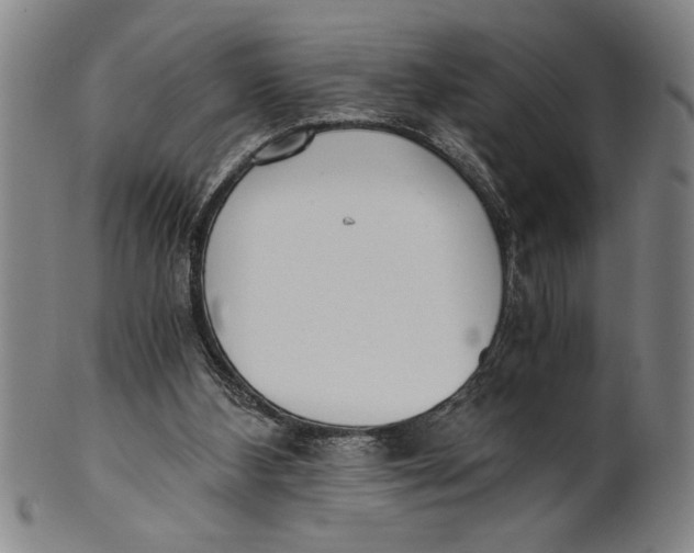 X0000101950108200808081514