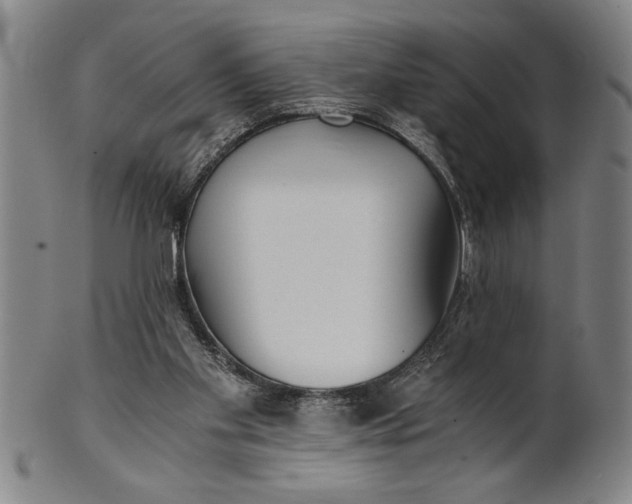 X0000101950109200808081514