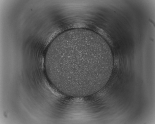 X0000101950110200808081514