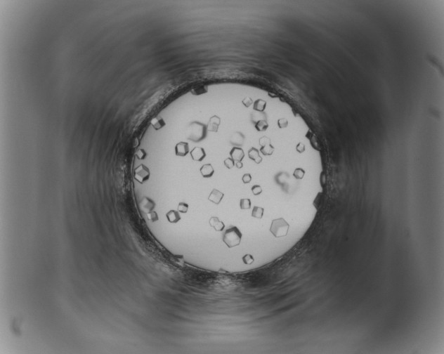 X0000101950111200808081514