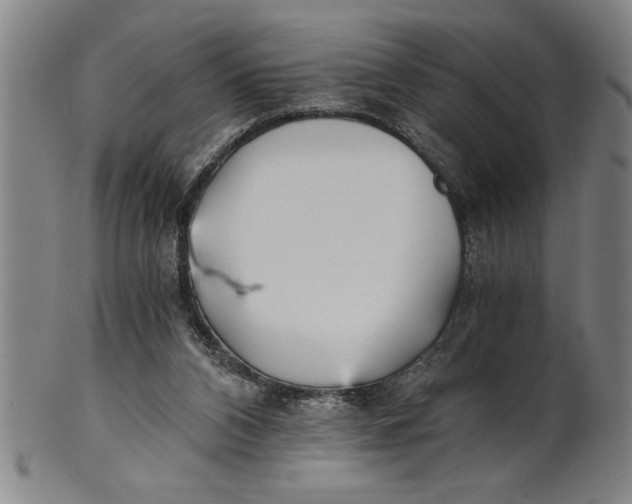X0000101950112200808081514