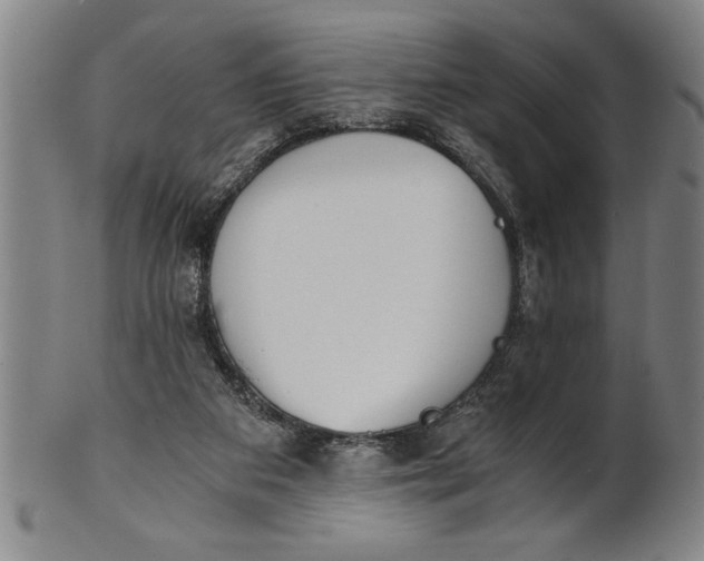 X0000101950113200808081514