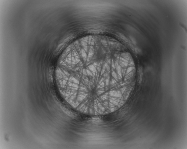 X0000101950114200808081514