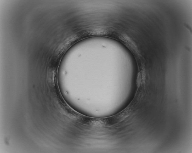 X0000101950115200808081514