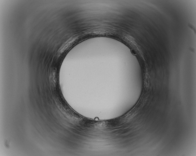 X0000101950116200808081514
