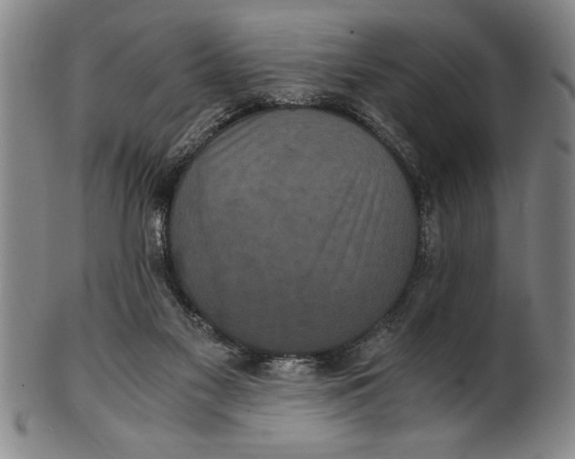 X0000101950117200808081514