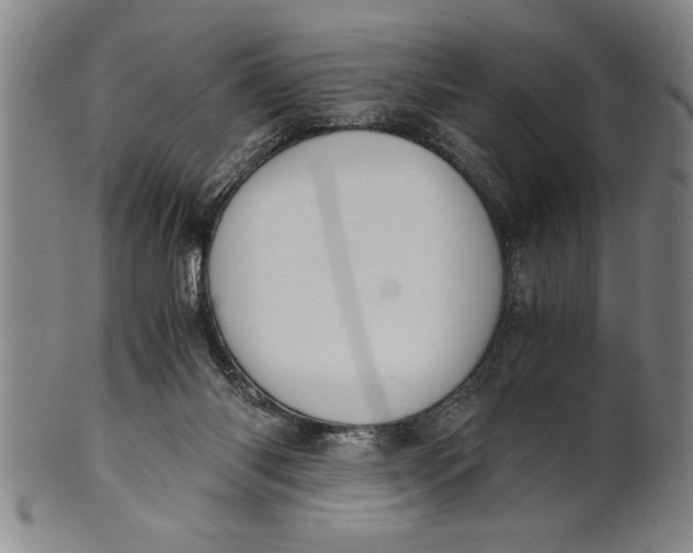 X0000101950118200808081514