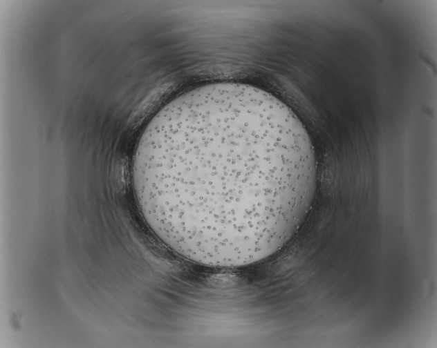 X0000101950119200808081514