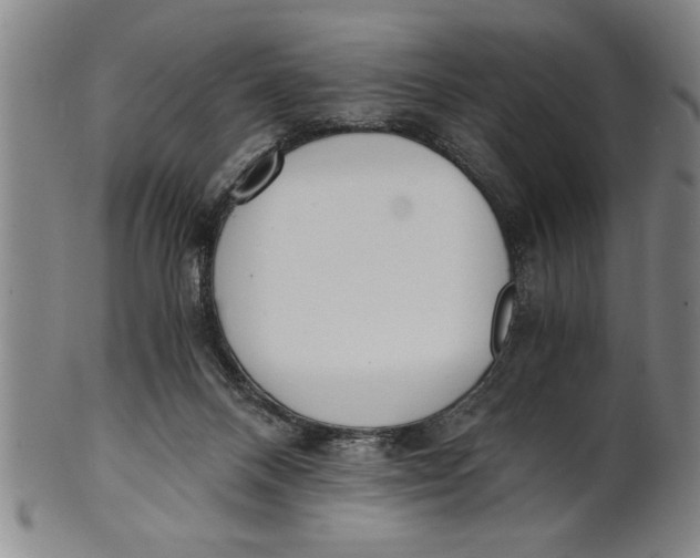 X0000101950120200808081514