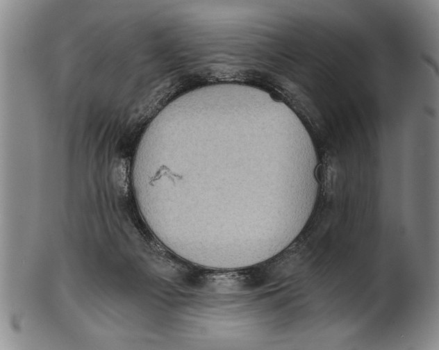 X0000101950121200808081514