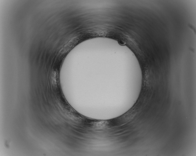 X0000101950122200808081514