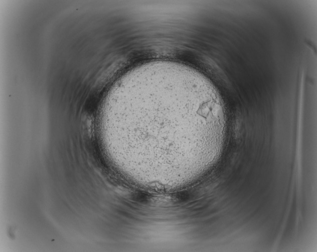 X0000101950123200808081514