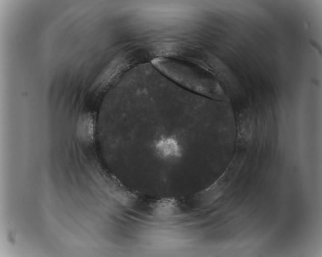 X0000101950124200808081514