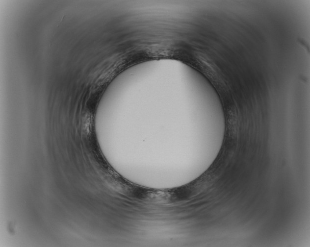 X0000101950125200808081514