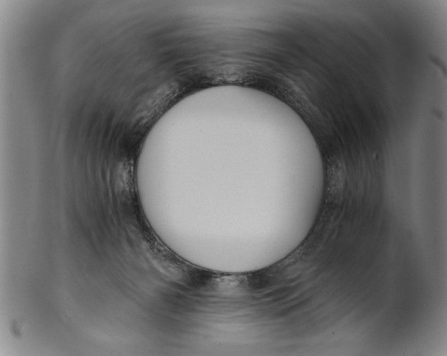 X0000101950126200808081514