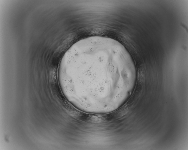 X0000101950127200808081514