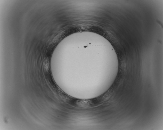 X0000101950129200808081514