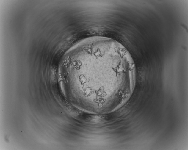 X0000101950130200808081514