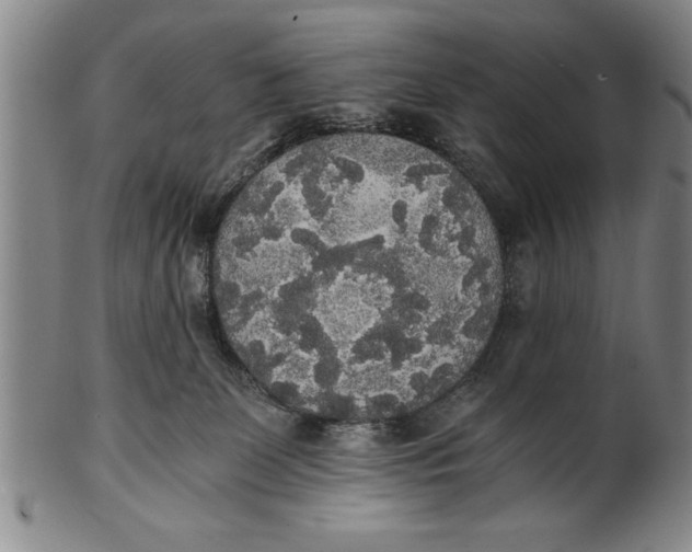 X0000101950131200808081514