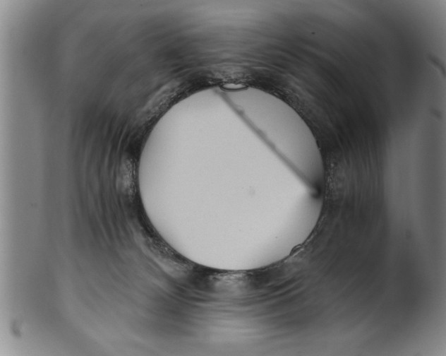 X0000101950132200808081514