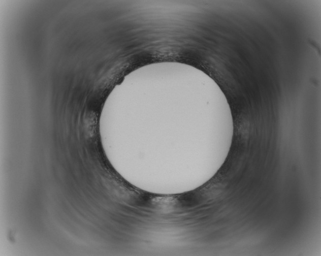 X0000101950133200808081514