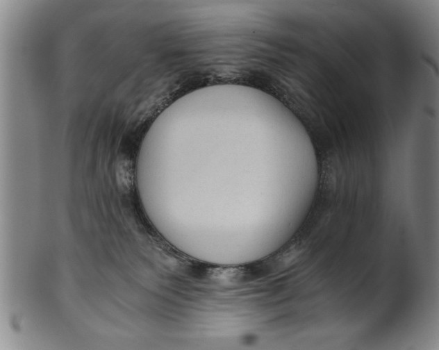 X0000101950135200808081514