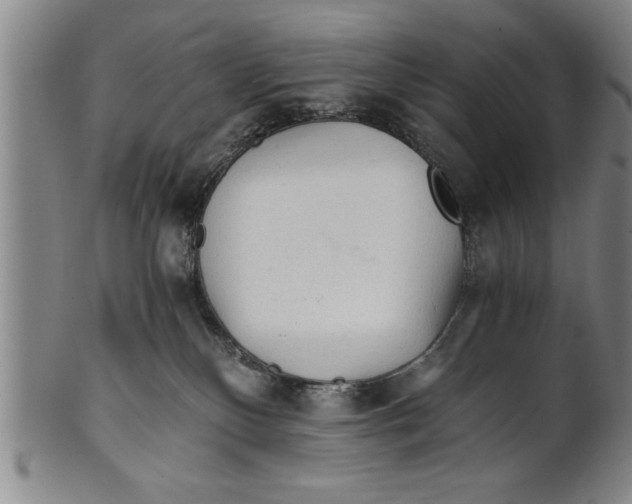 X0000101950136200808081514