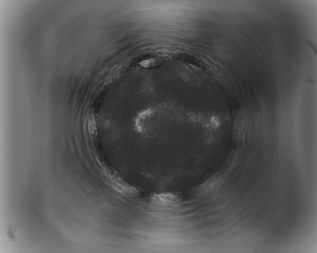 X0000101950137200808081514
