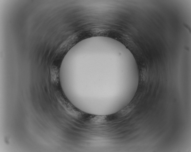 X0000101950138200808081514