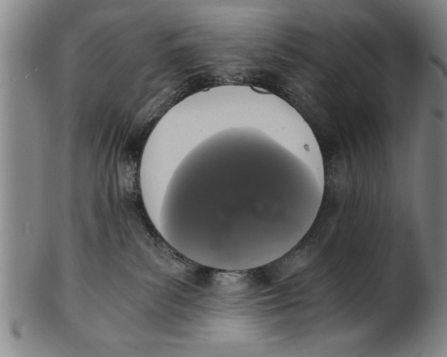X0000101950139200808081514