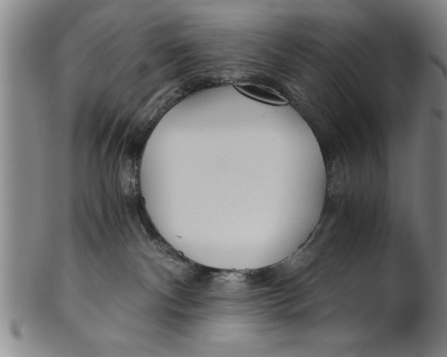 X0000101950140200808081514