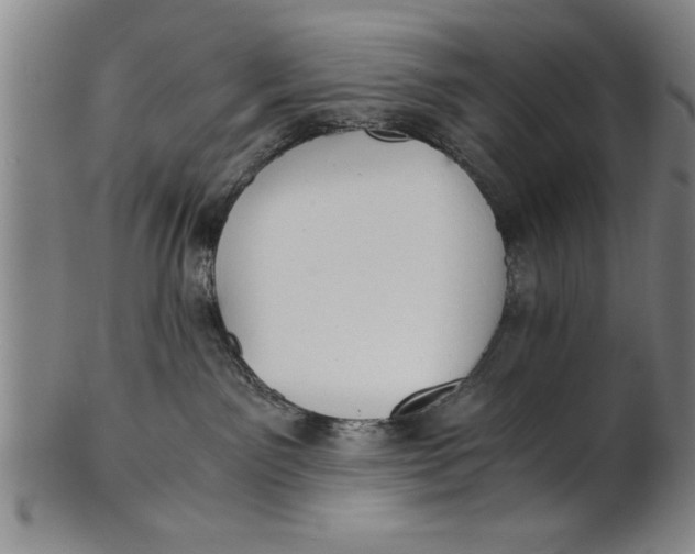 X0000101950141200808081514