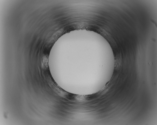 X0000101950142200808081514