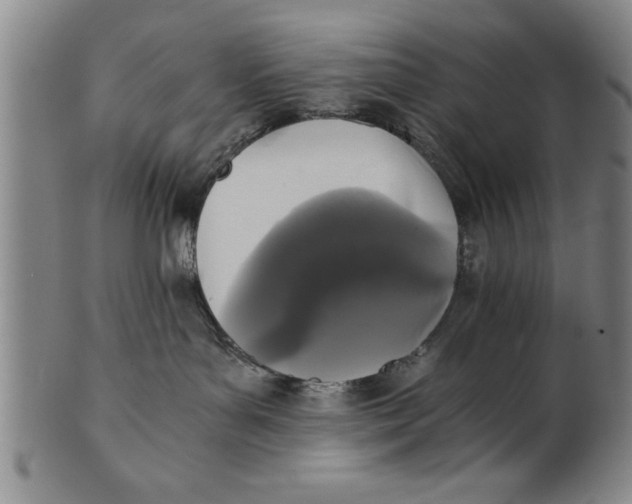 X0000101950143200808081514