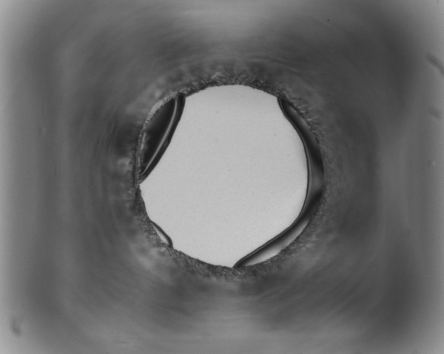 X0000101950144200808081514