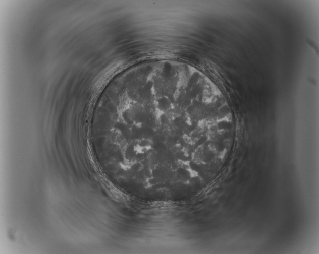 X0000101950145200808081513