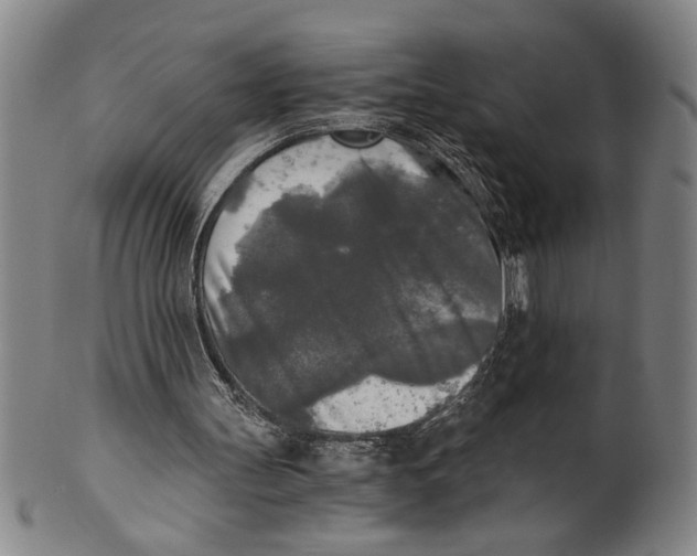 X0000101950147200808081513