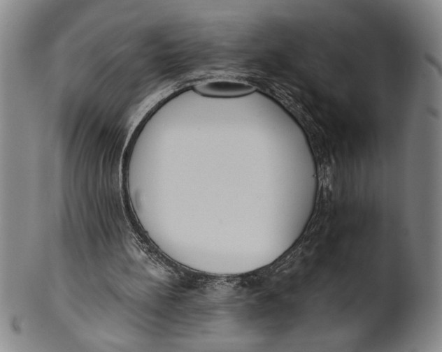 X0000101950148200808081513
