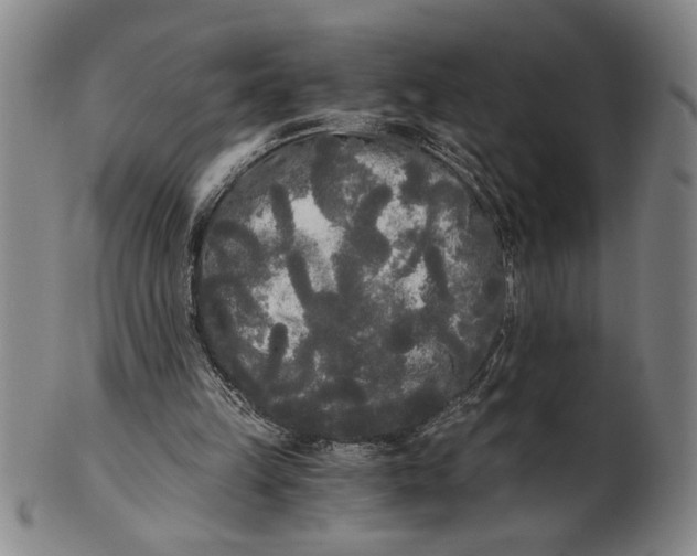 X0000101950149200808081513